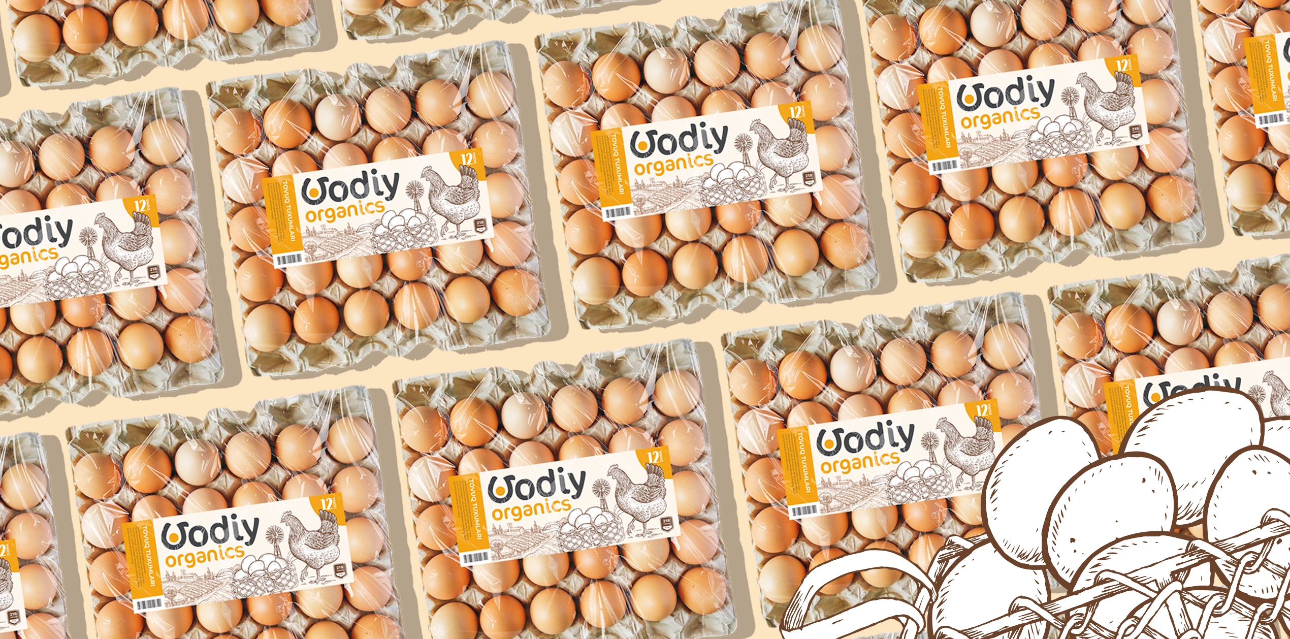 Vodiy Organics — органический бренд яиц и дизайн упаковки