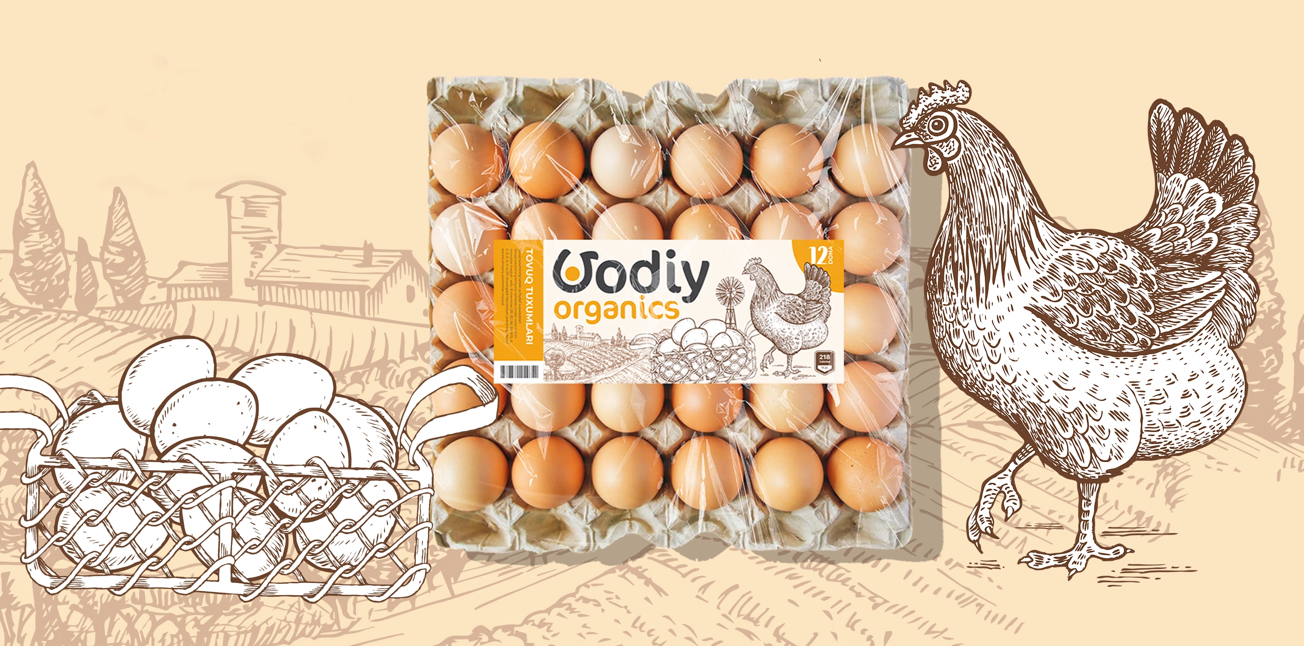 Vodiy Organics — органический бренд яиц и дизайн упаковки