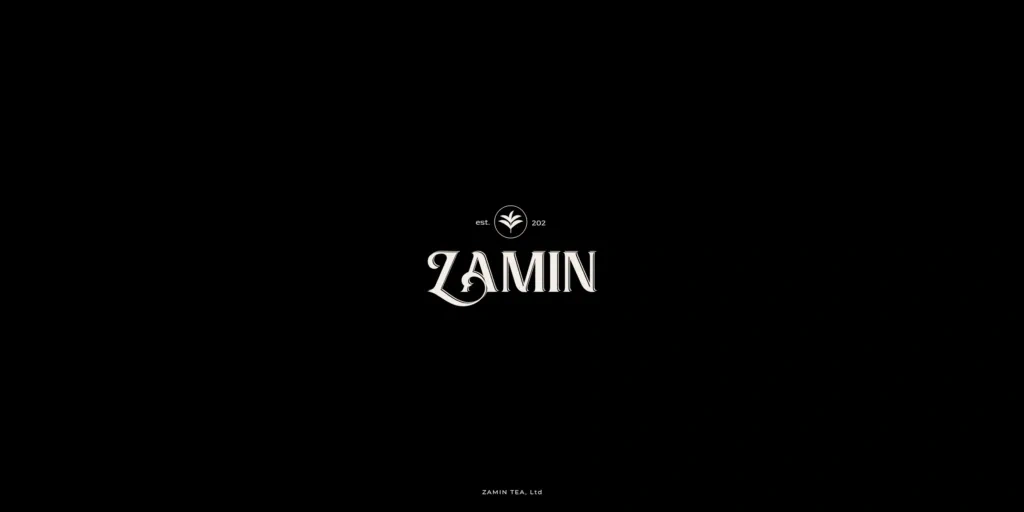 Zamin